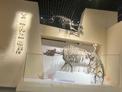 -国家自然博物馆