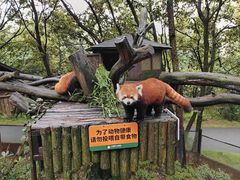 -云南野生动物园