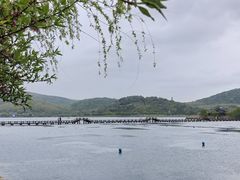 -南北湖风景区
