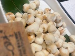 -同仁四季椰子鸡(海岸城天利店)