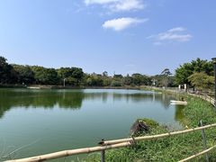 -坪山湿地公园