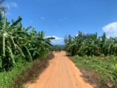 -硇洲岛旅游区