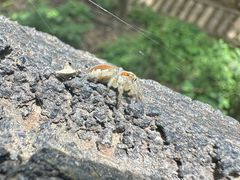 -栾川竹海野生动物园