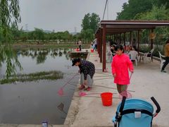 -同銮特种养殖场·龙虾垂钓