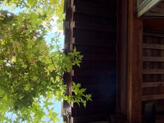 -VOYAGE COFFEE(杨梅竹店)