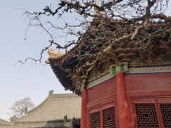 -西安碑林博物馆