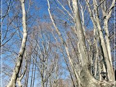 -T80科技文化国际社区-停车场