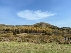 -五营红松林海景区