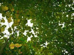 -白塘生态植物园