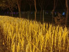 -北京鹿世界主题园