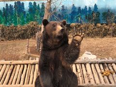 -济南野生动物世界