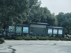 -合肥滨湖国家森林公园