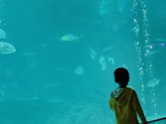 -福州罗源湾海洋世界旅游区