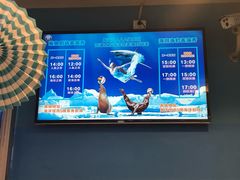 -成都浩海立方海洋公园