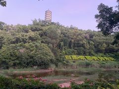 -深圳国际园林花卉博览园