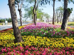 -芒洲湿地公园