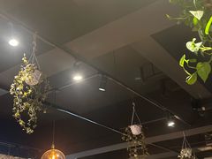 -柴窝堡22号传承新疆菜·新疆辣子鸡