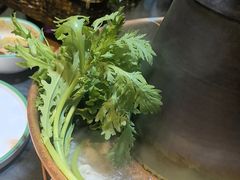-南门四季铜锅涮肉(左家庄店)