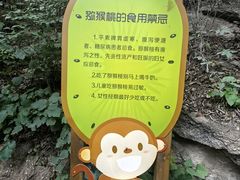 -大岭沟猕猴桃谷风景区