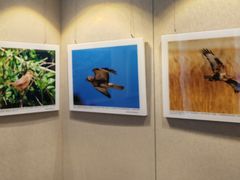 -大连市规划展示中心