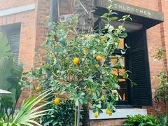门面-% Arabica阿拉比卡咖啡(武康路店)