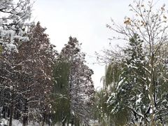 -杭州城北体育公园