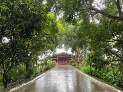 -福建鲤鱼洲酒店