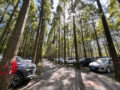 -黄海国家森林公园