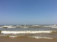 -日照海滨国家森林公园