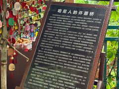 -西双版纳原始森林公园
