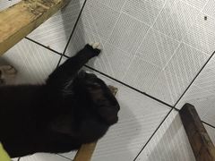 -吴记口味馆