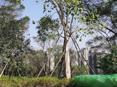 -飞凤山奥体公园