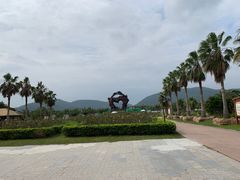 -亚龙湾国际玫瑰谷