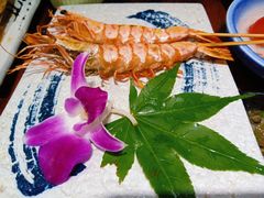南海大明虾-渔日本料理铁板烧(新天地假日广场店)