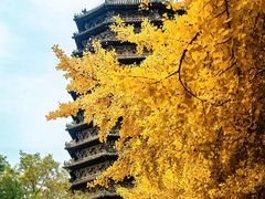 -玲珑塔公园