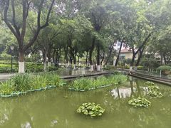 -常州古运河南大街文化旅游区-人民公园