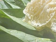 -慢丽江·云南野生菌土鸡锅(付家庄店)