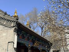 -护国法轮寺