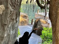 -金鸡山公园
