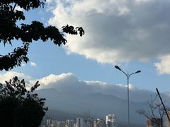 -洱海月湿地公园