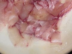 -活鱼馆(宜兴埠店)