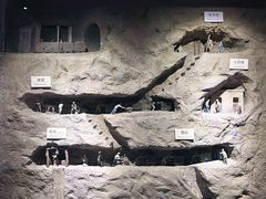 -正佳自然科学博物馆