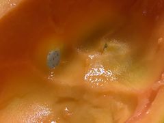 -老谷家黄泥烧鸽子·烧烤