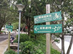 -银湖山郊野公园-相思林