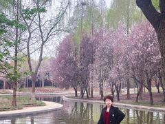 -石家庄市植物园