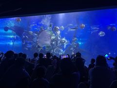 -江和美海洋公园