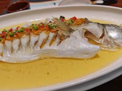 金汤清蒸海龙斑-九福楼大酒店