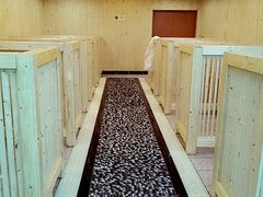 -三兴风采温泉养生(五四北秀山店)