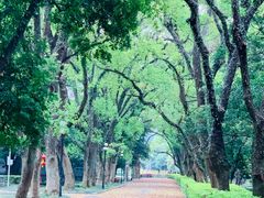 -桂林独秀峰王城景区