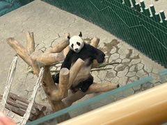 -沈阳森林动物园